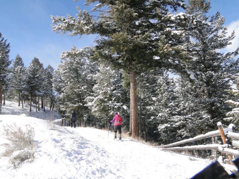 Triple Tree Trail winter hike bozeman