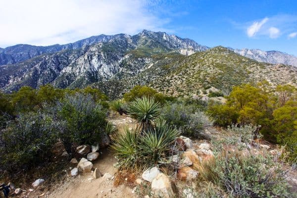 Cactus to Clouds Trail Palm Springs to Joshua Tree