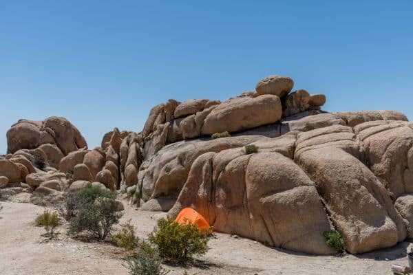 Fun facts about joshua tree national park 