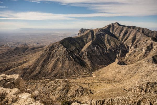 Frijole  guadalupe mountains wildlife