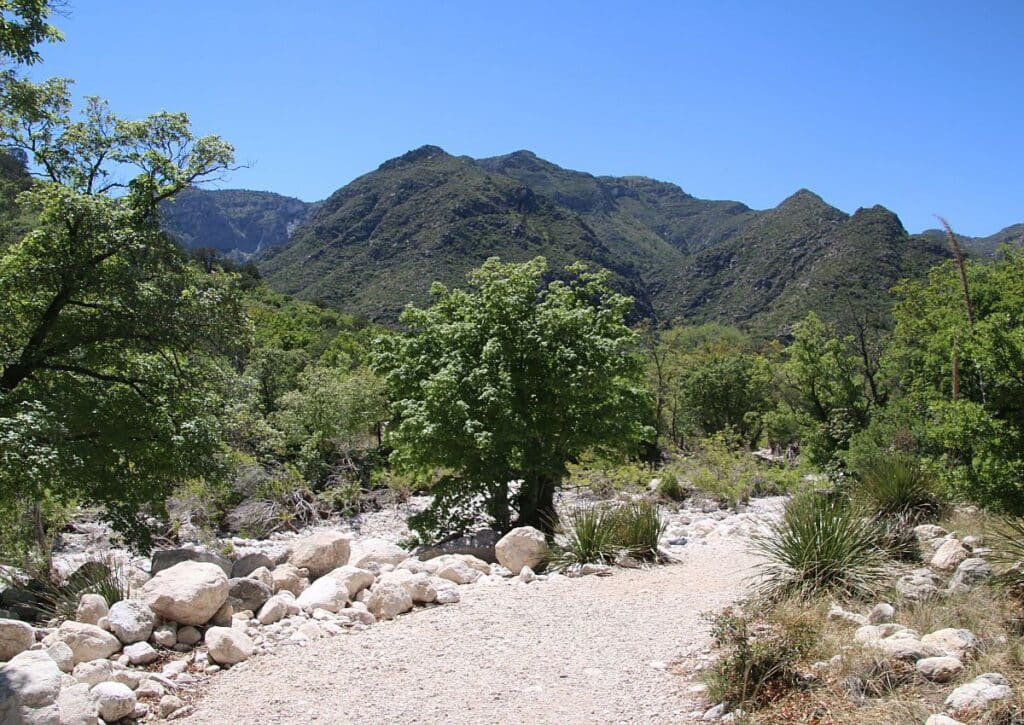 Guadalupe Mountains National Park things to do