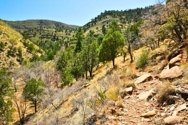 Abundant Hikes in Guadalupe Mountains National Park