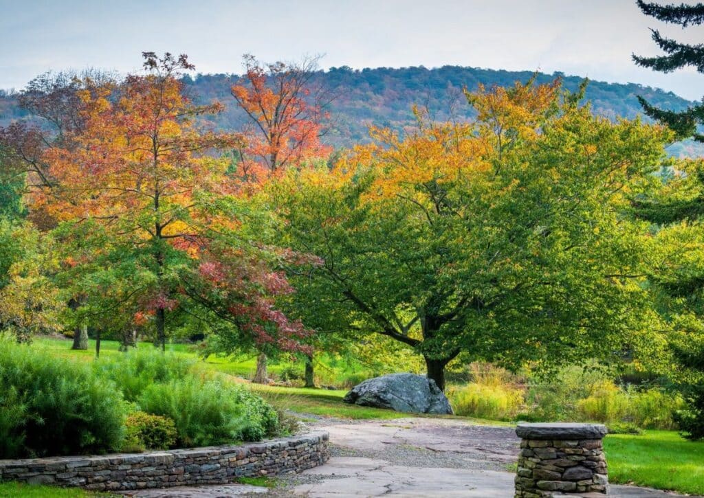 Mountain Top Arboretum Best Hikes in the Catskills