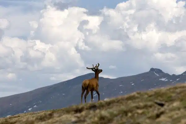 Trail Ridge Road Rocky mountain national park