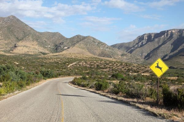 Where is Guadalupe Mountains National Park 
