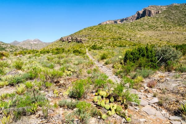 hiking Guadalupe Mountains National Park Backcountry