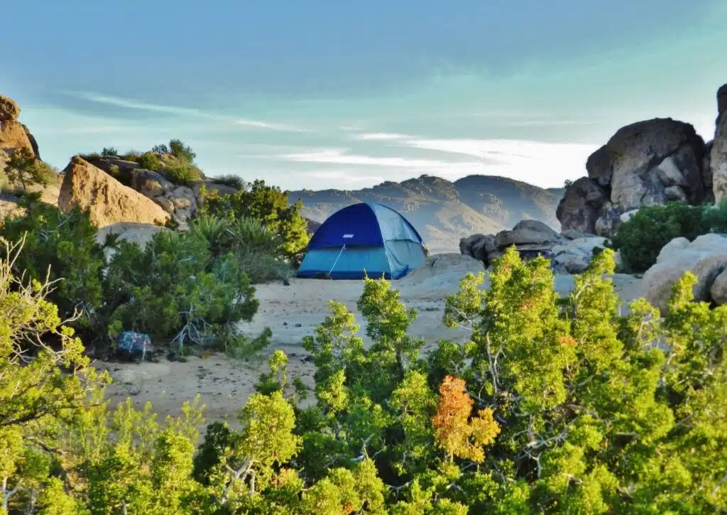 joshua tree camping