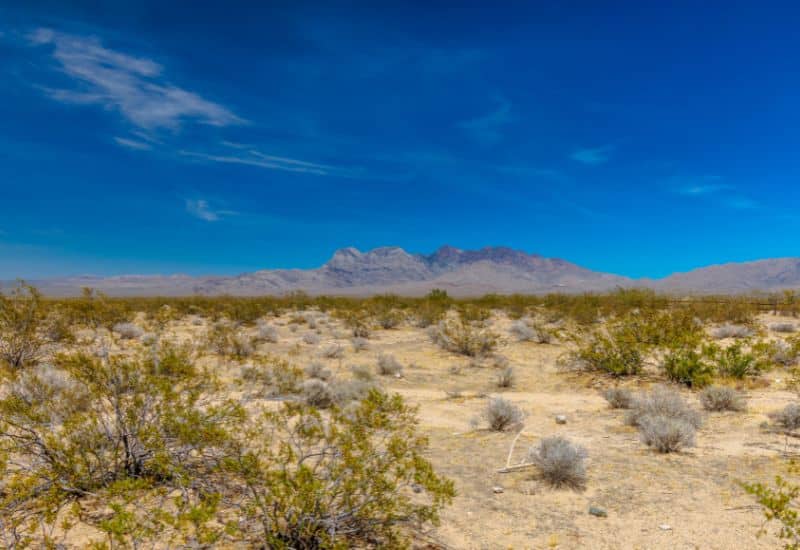 Mojave National Preserve  la to grand canyon