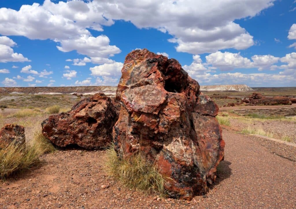 Petrified Forest National Park Albuquerque to Valley Of Fire