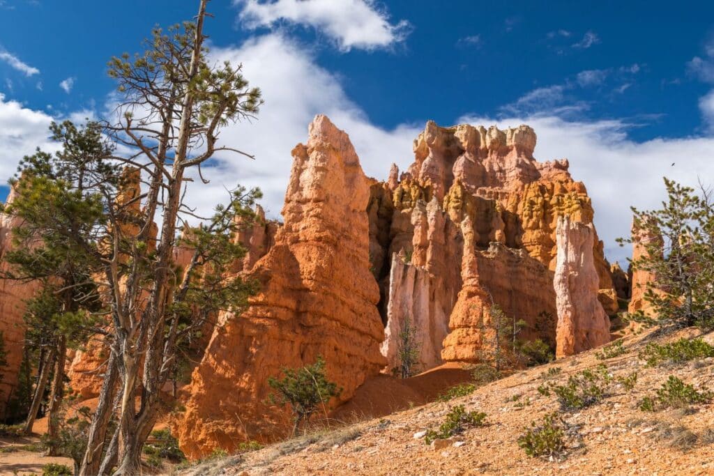 Queen’s Garden trail in bryce canyon national park