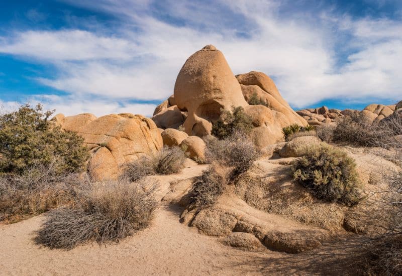 Skull Rock fun facts about joshua tree national park