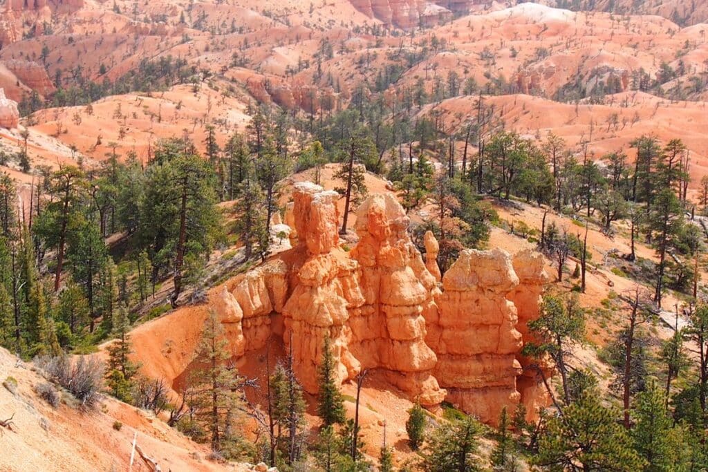 Sunset Point to Sunrise Point trail in bryce canyon national park