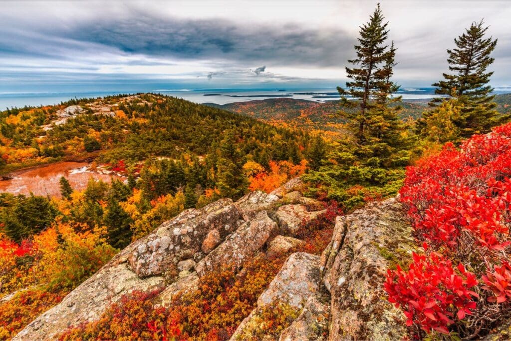 acadia national park in fall