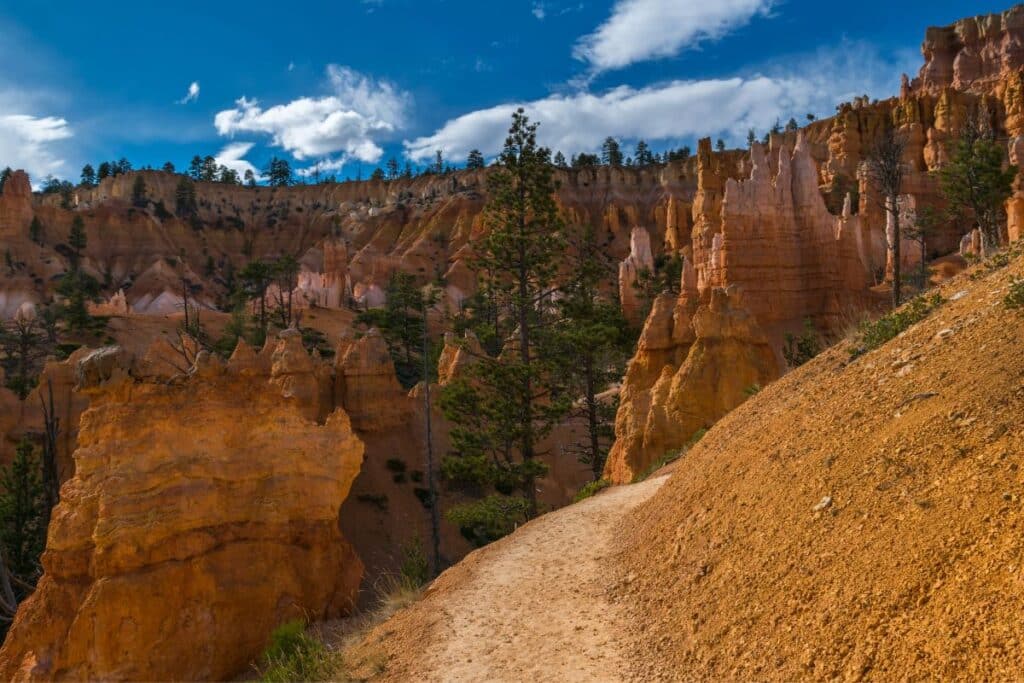rim trails in bryce canyon national park
