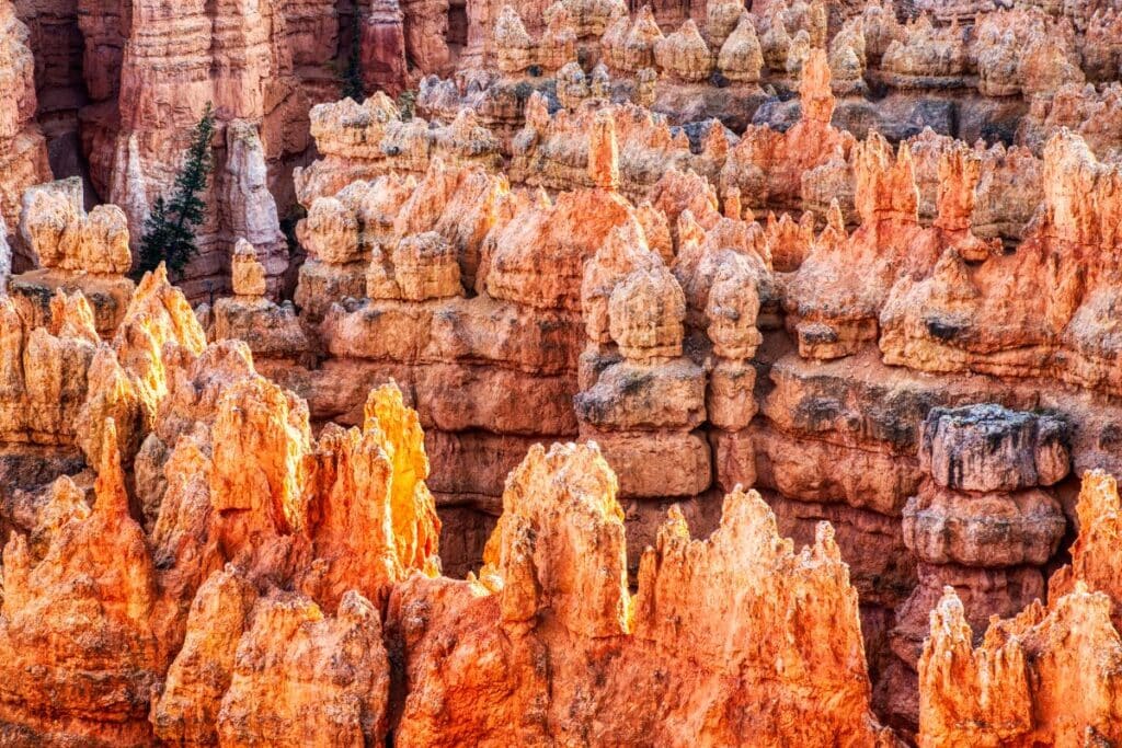 silent ccity  FACTS ABOUT BRYCE CANYON NATIONAL PARK