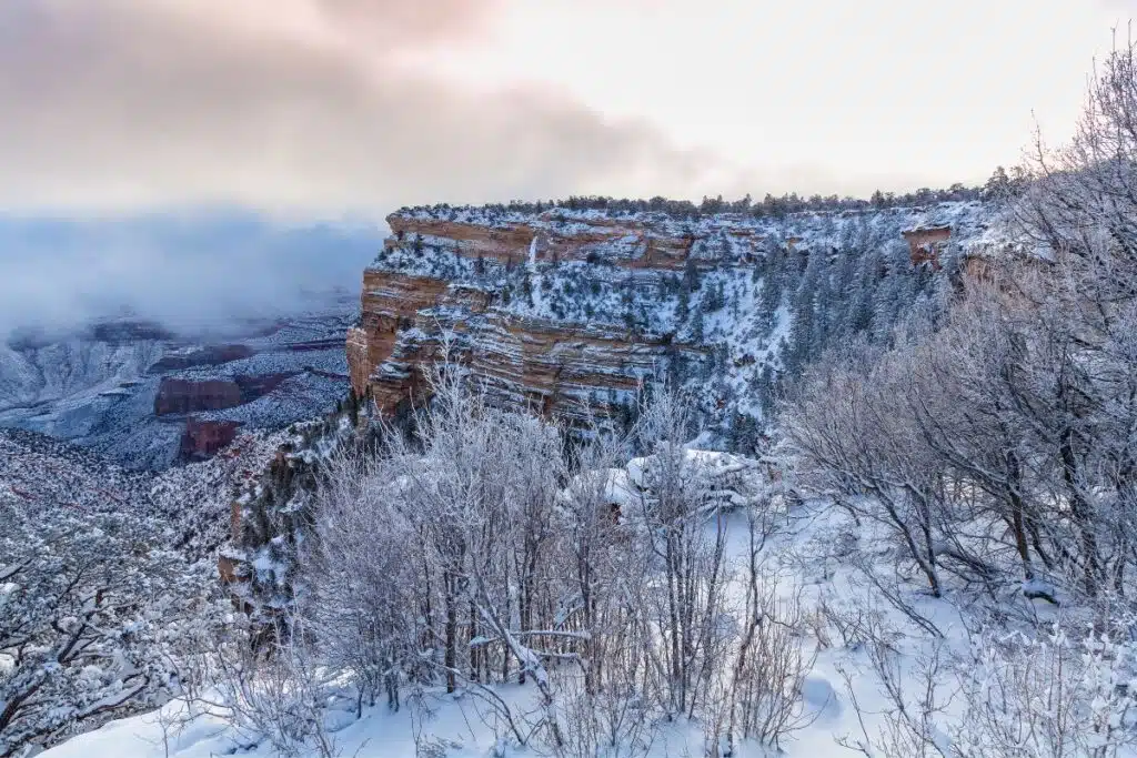21 Cool winter things to do in Grand Canyon National Park!